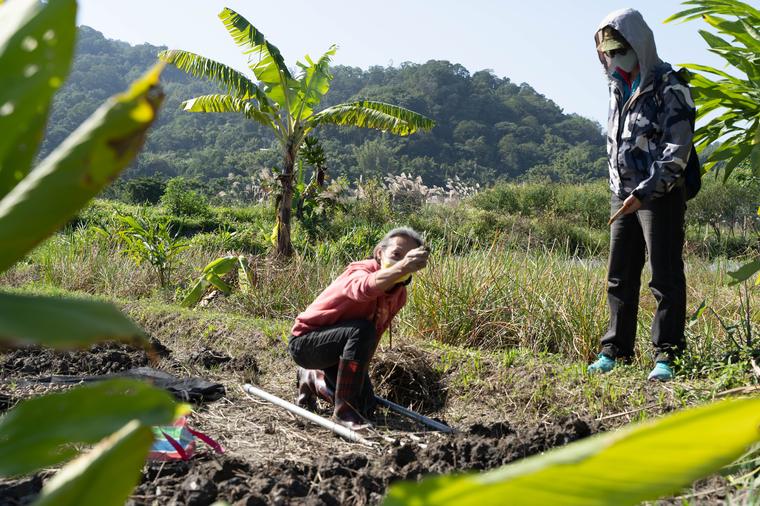 團隊於溼地與稻田間進行生態走讀