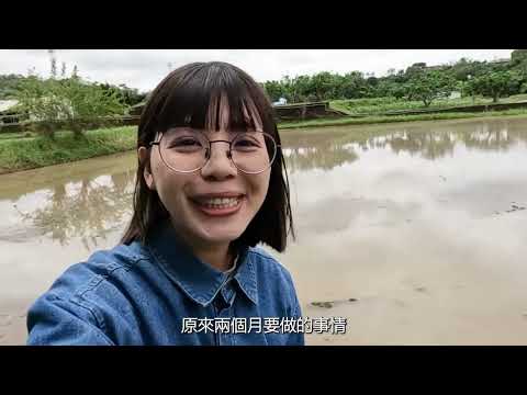 滾回家返鄉紀錄_插秧篇 影片縮圖