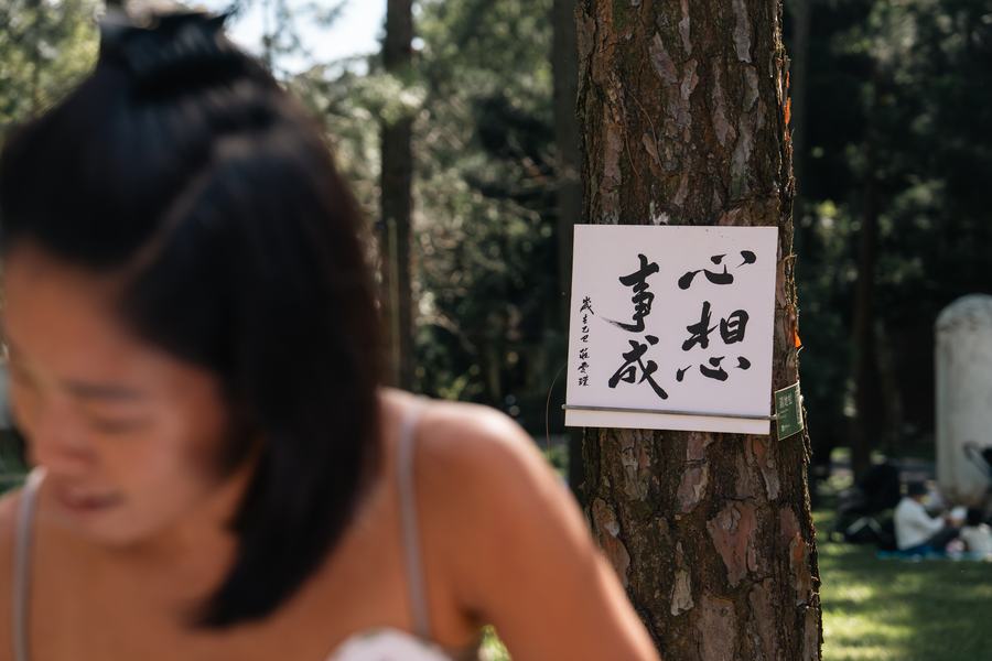 樹幹上掛著寫有心想事成的書法小卡